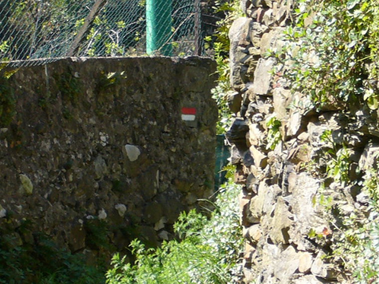 Italy Liguria, Cinque Terre, Cinque Terre - Footpath with trail marker, Walkopedia