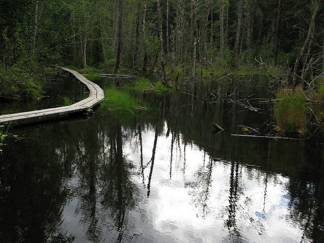 USA Alaska/Yukon, Chilkoot Trail, Chilkoot Trail, Walkopedia