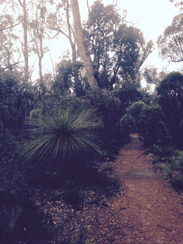 Australia Western Australia, Bibbulmun Track, Bibbulman Track, Walkopedia