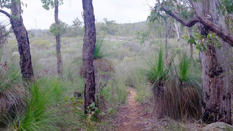 Australia Western Australia, Bibbulmun Track, Bibbulman Track, Walkopedia