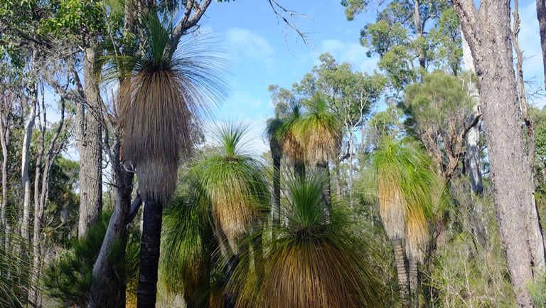 Australia Western Australia, Bibbulmun Track, Bibbulman Track, Walkopedia