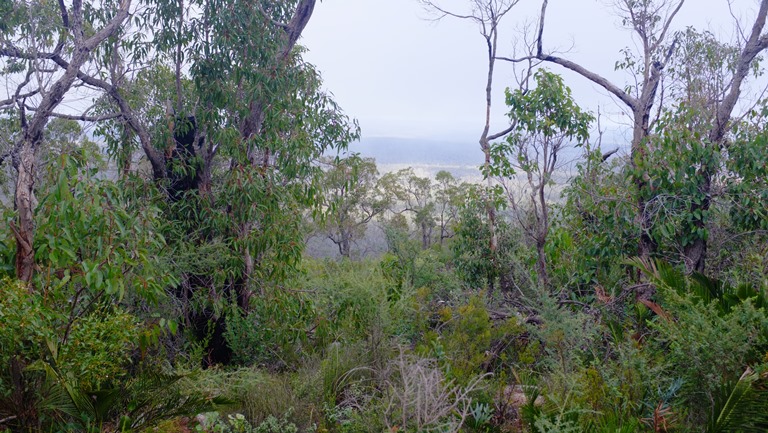 Australia Western Australia, Bibbulmun Track, Bibbulman Track, Walkopedia