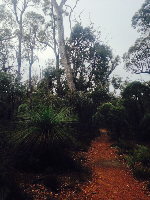 Bibbulman Track - © John Fenn Bibbulmun Track: Bibbulman Track - © John Fenn