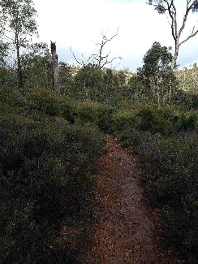 Australia Western Australia, Bibbulmun Track, Bibbulman Track, Walkopedia