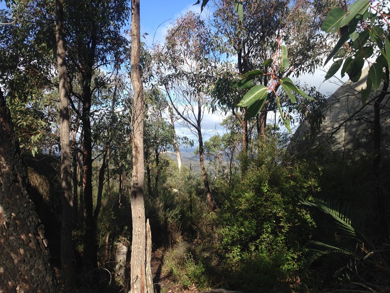 Australia Western Australia, Bibbulmun Track, Bibbulman Track, Walkopedia