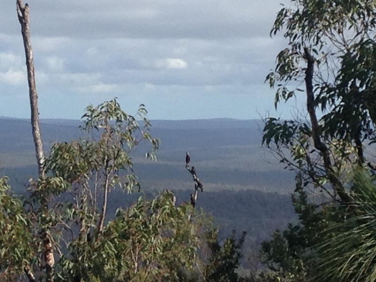 Bibbulmun Track
Bibbulman Track - © John Fenn