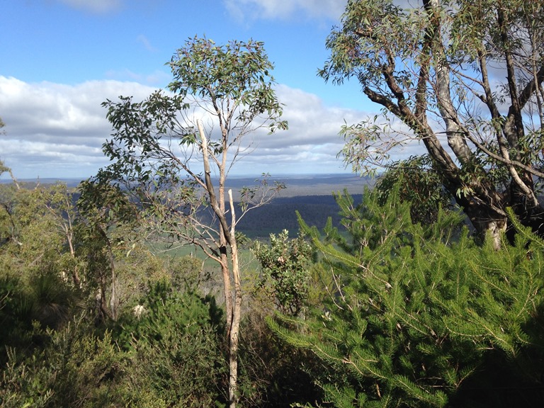 Bibbulman Track - © John Fenn Bibbulmun Track: Bibbulman Track - © John Fenn