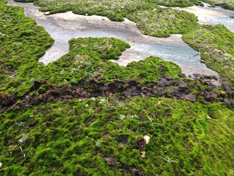 Australia Western Australia, Bibbulmun Track, Bibbulman Track, Walkopedia