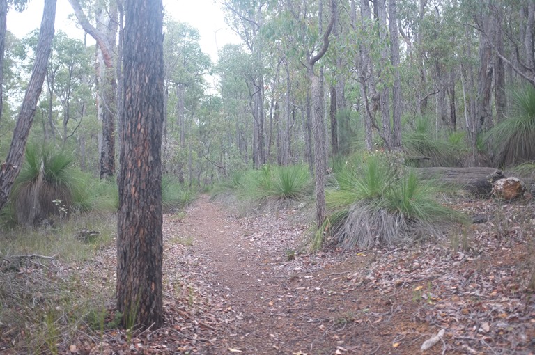 Australia Western Australia, Bibbulmun Track, Bibbulman Track, Walkopedia