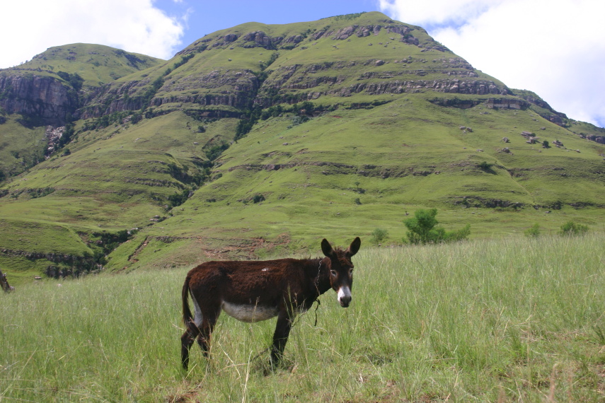 South Africa Drakensberg, North Drakensberg Traverse, Philosopher king, Walkopedia