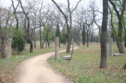 China Eastern Shandong, Kong Lin (Confucian Forest), In the forest, Walkopedia