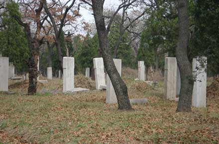 China Eastern Shandong, Kong Lin (Confucian Forest), Steles, Walkopedia