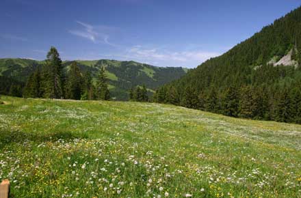 France Alps Mt Blanc Area, Mont Joly, , Walkopedia