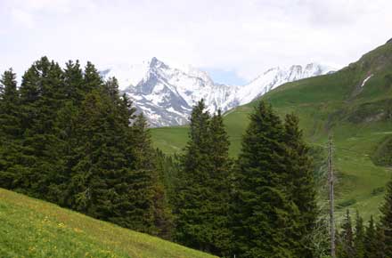 France Alps Mt Blanc Area, Mont Joly, , Walkopedia