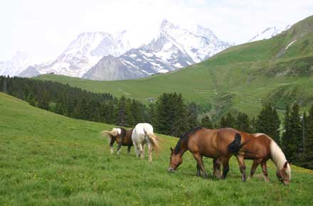 France Alps Mt Blanc Area, Mont Joly, , Walkopedia