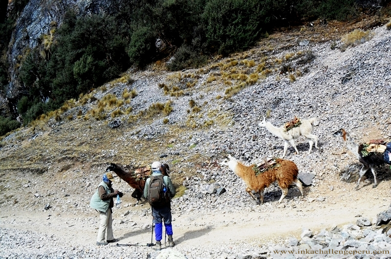 © Inka Challenge Peru Lares Trek: © Inka Challenge Peru