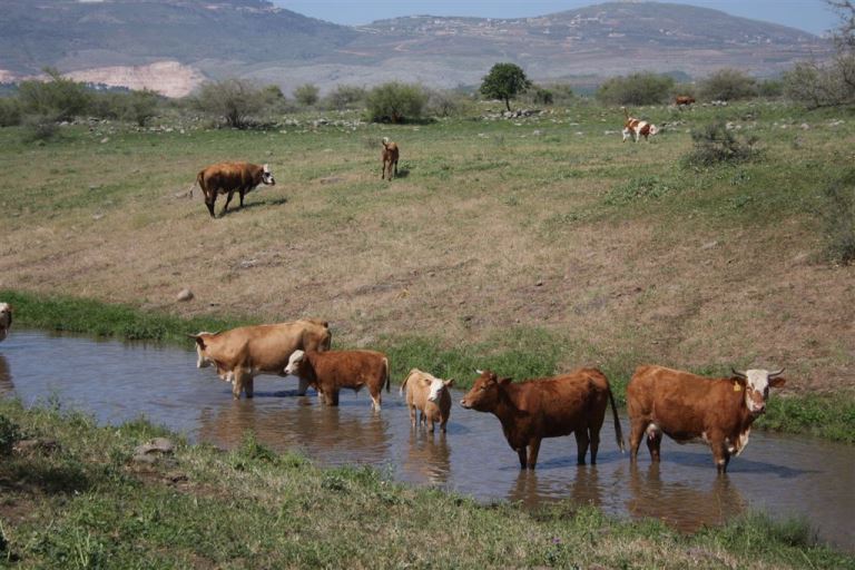 Israel, Israel National Trail, , Walkopedia