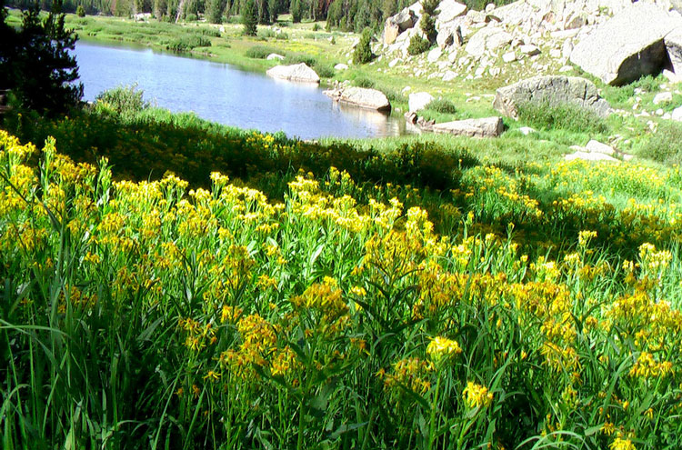 USA Western: Wind River Mts, Cirque of the Towers, Cirque of the Towers, Walkopedia