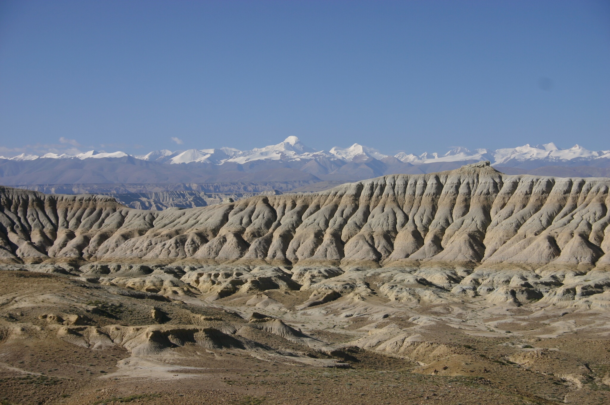 China Tibet, Ruins of Guge Capital, Tsaparang, , Walkopedia