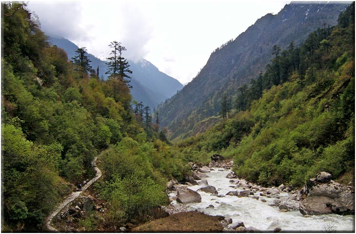 India Sikkim / E Nepal, Kangchenjunga / Singalila, Zema Valley path , Walkopedia