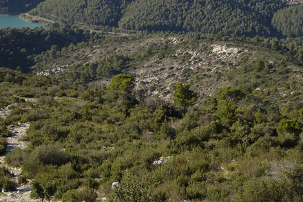 France Provence, Montagne Sainte Victoire (Cezanne's Mountain), Montagne Sainte Victoire Herbs and Juniper, Walkopedia