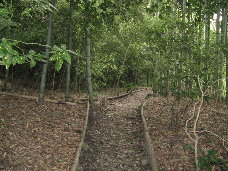 Japan Kansai, Daimonji-yama and Philosopher's Path, Kyoto, Philosopher's path  , Walkopedia