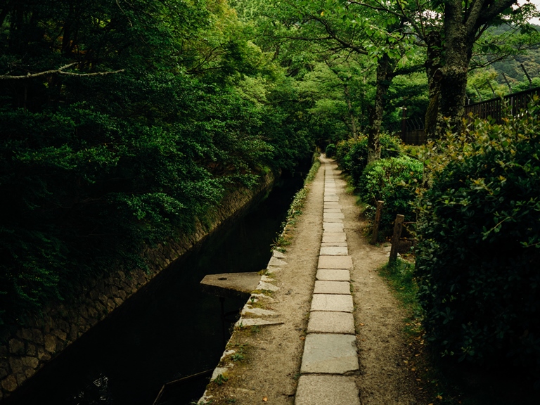 Daimonji-yama and Philosopher's Path, Kyoto
© Tim Brennan flickr user 