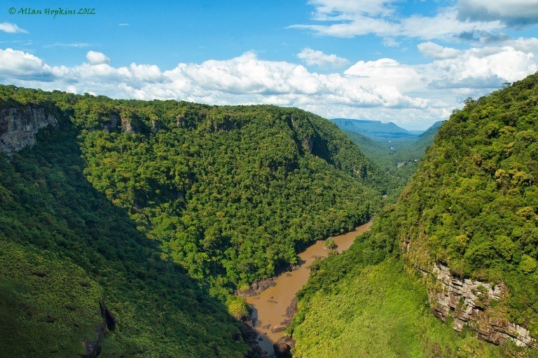 Guyana, Kaieteur Falls, Potaro Canyon from Kaieteur Falls, Walkopedia