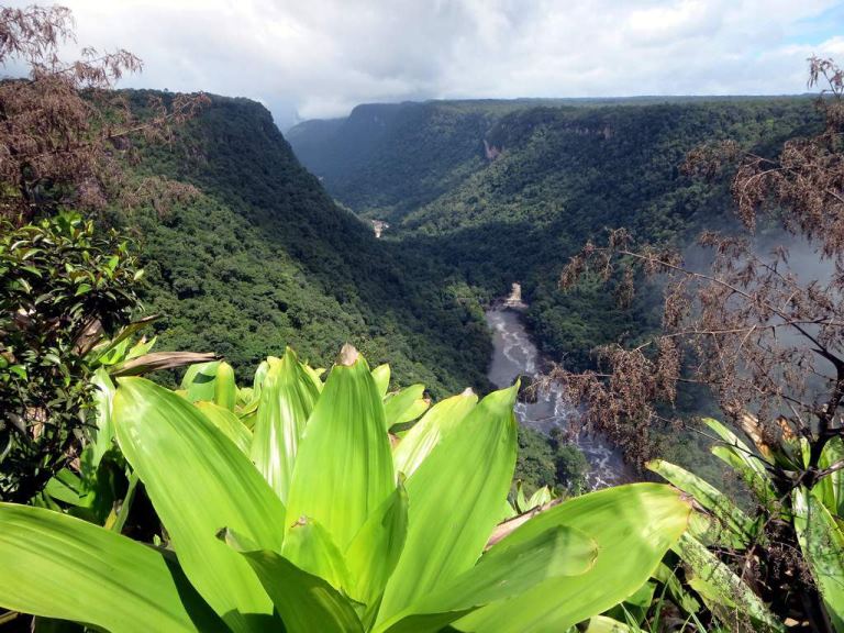 Guyana, Kaieteur Falls, Potaro River Gorge , Walkopedia