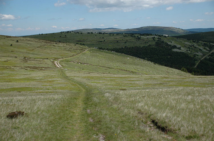 France Massif Central, Robert Louis Stevenson Trail, Approaching the Pic des Finiels, Cevennes, Walkopedia