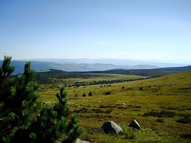 France Massif Central, Robert Louis Stevenson Trail, Mont Lozere, Walkopedia