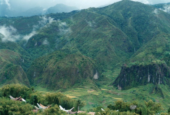 Indonesia Sulawesi, Torajaland, Across a high valley, Walkopedia