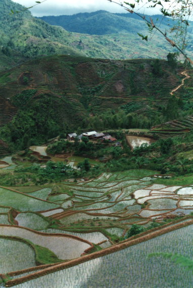 Indonesia Sulawesi, Torajaland, Down onto a watery valley, Walkopedia