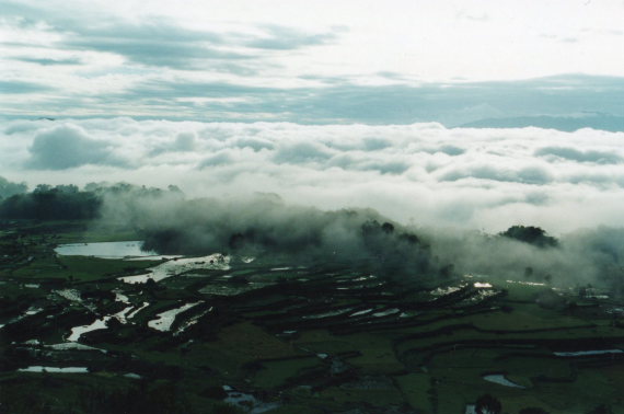 Indonesia Sulawesi, Torajaland, Early morning, wet rice terraces after storm, Walkopedia