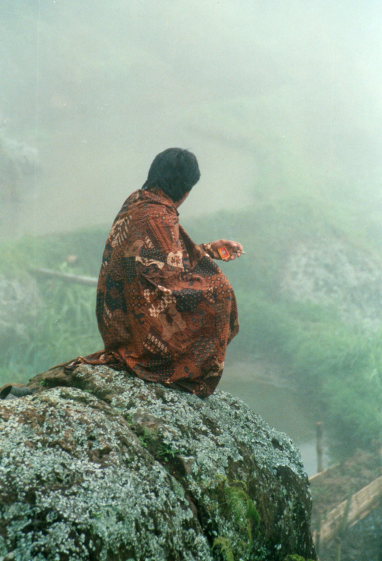 Indonesia Sulawesi, Torajaland, Early morning contemplation, Walkopedia