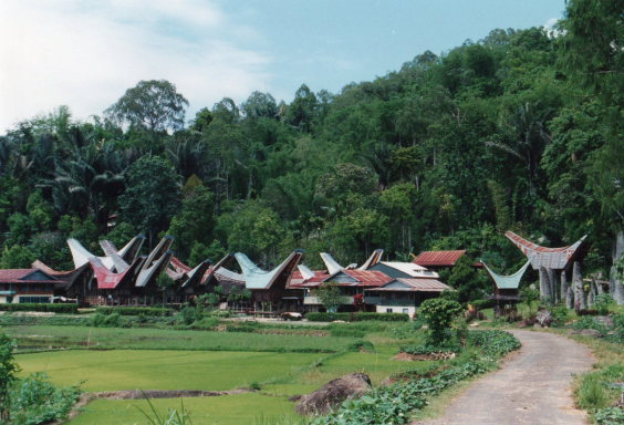 Indonesia Sulawesi, Torajaland, Village in the main valley, Walkopedia