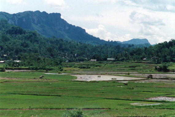 Indonesia Sulawesi, Torajaland, Main valleyfloor, Walkopedia