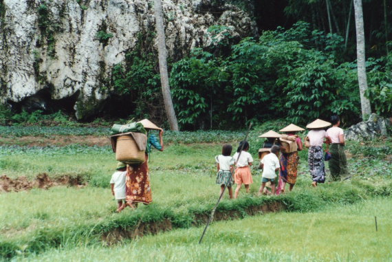 Indonesia Sulawesi, Torajaland, , Walkopedia