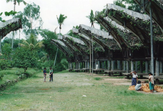 Indonesia Sulawesi, Torajaland, Row of classic buildings, Walkopedia