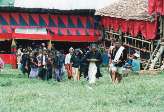 Indonesia Sulawesi, Torajaland, Funeral procession, Walkopedia