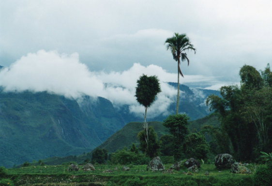 Indonesia Sulawesi, Torajaland, High terraces after storm, Walkopedia