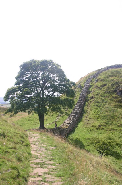 United Kingdom England Hadrian's Wall, Hadrian's Wall Path, , Walkopedia