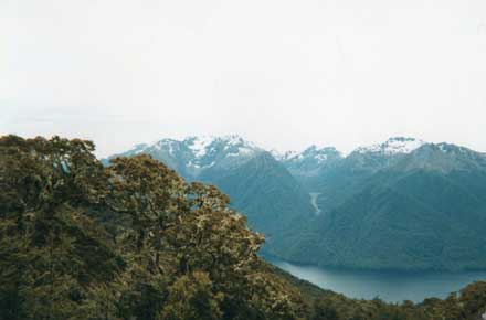 New Zealand South Island, Kepler Trail, Kepler Trail - , Walkopedia