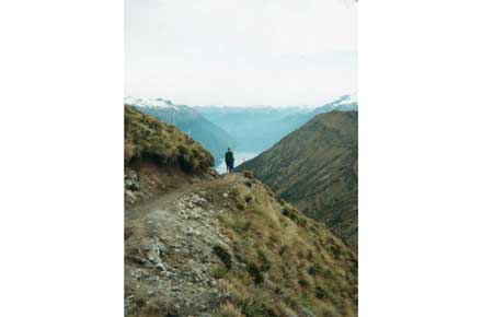 New Zealand South Island, Kepler Trail, Kepler Trail - , Walkopedia