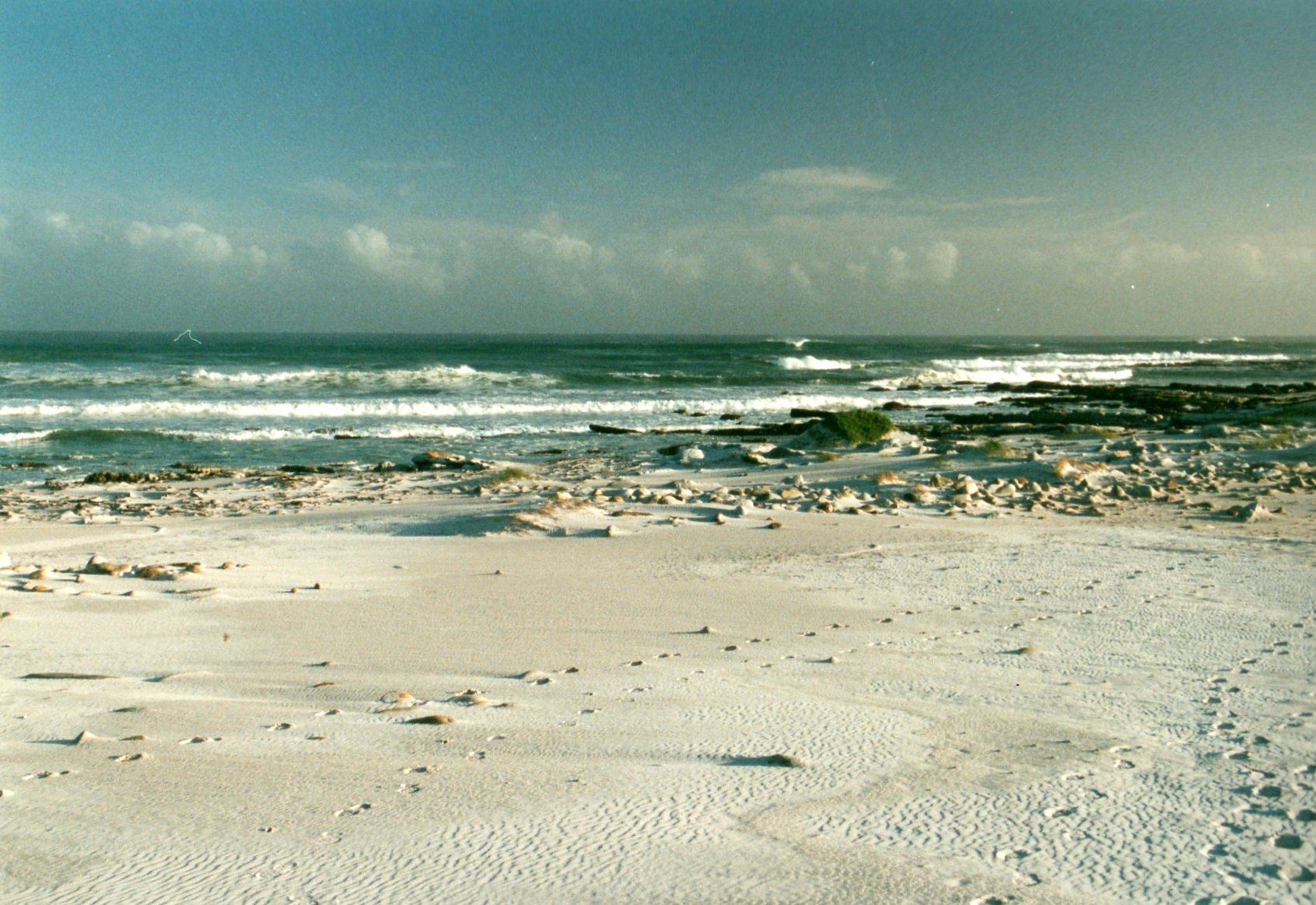 South Africa Western Cape Cape Area, Cape of Good Hope, , Walkopedia