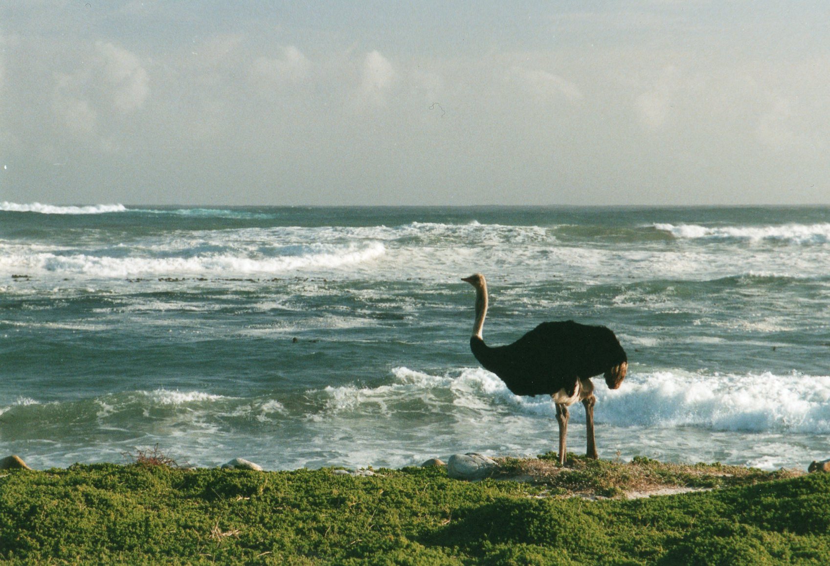 Cape of Good Hope
© William Mackesy