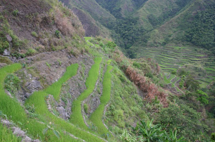 The Philippines, Banaue Rice Terraces, , Walkopedia