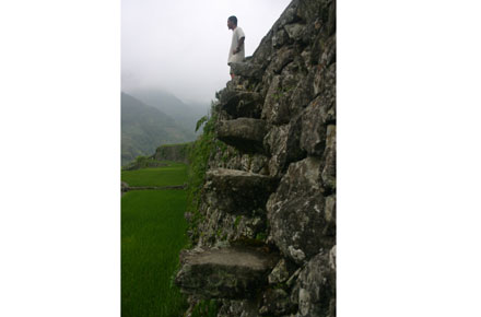 © Banaue Rice Terraces: ©