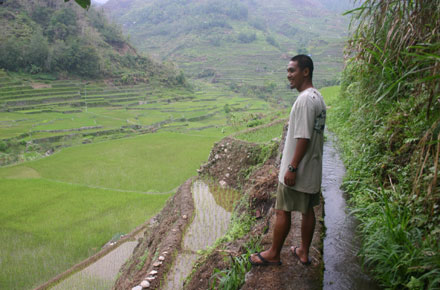 The Philippines, Banaue Rice Terraces, , Walkopedia