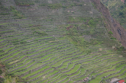 The Philippines, Banaue Rice Terraces, , Walkopedia